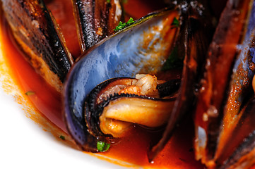 Image showing Mussels in italian rustic style