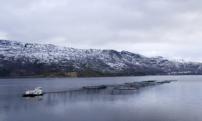 Image showing salmon seafarm