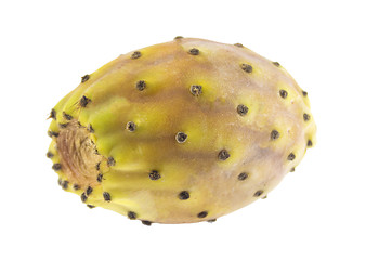 Image showing Barbary figs