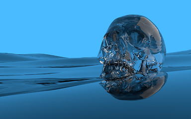 Image showing water skull