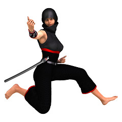 Image showing Ninja