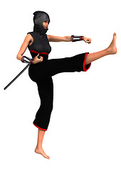 Image showing Ninja