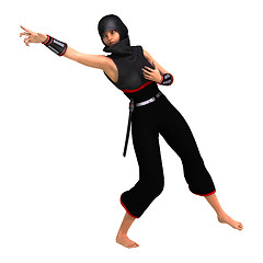 Image showing Ninja