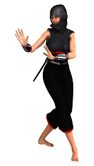 Image showing Ninja