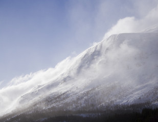 Image showing winter,sunny day, snow and wind