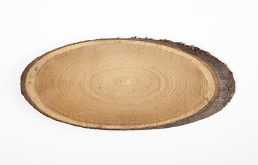 Image showing wood slice