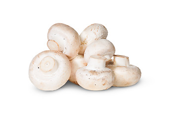 Image showing Pile Of Mushrooms