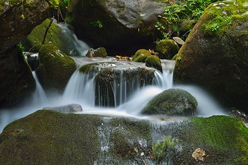 Image showing creek