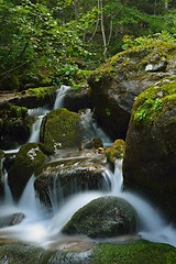 Image showing creek