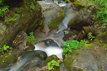 Image showing creek