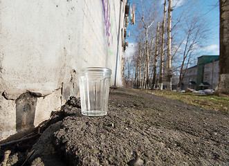 Image showing Glass of vodka in spring