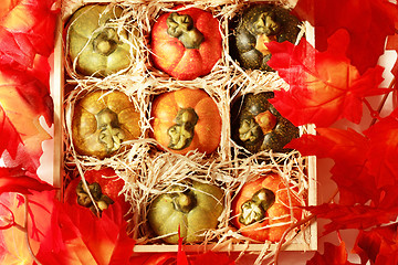 Image showing Pumpkins in box