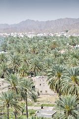 Image showing View from fort Nizwa