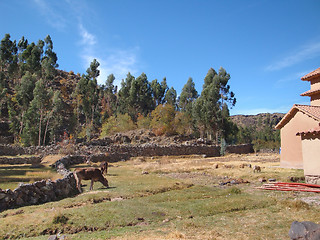 Image showing Lake Titicaca