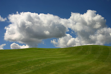 Image showing Green Grass