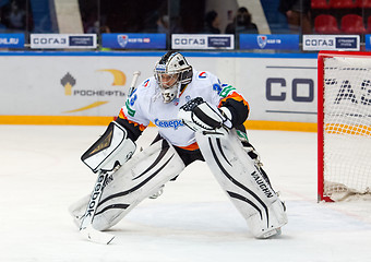 Image showing Goalkeeper Shtepanek Y. (33)