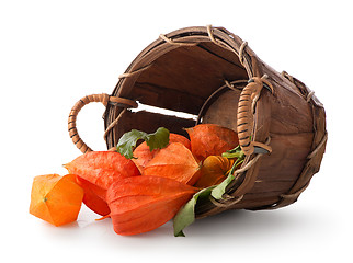 Image showing Physalis in a basket