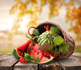 Image showing Watermelons and landscape