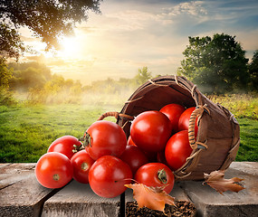 Image showing Tomatoes and landscape