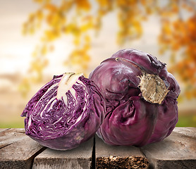 Image showing Purple cabbage on table