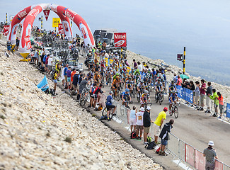 Image showing The Peloton on Mont Ventoux