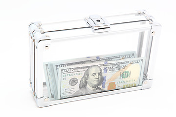 Image showing Case with money