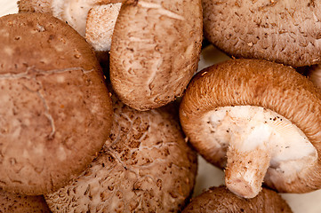 Image showing shiitake mushrooms