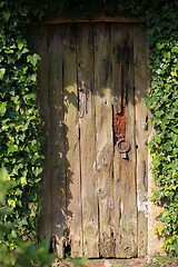 Image showing Old door in the garden is closed