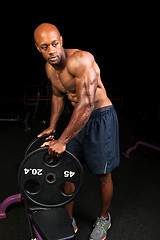 Image showing Ripped Muscular Weight Lifter