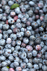 Image showing Blueberries Closeup