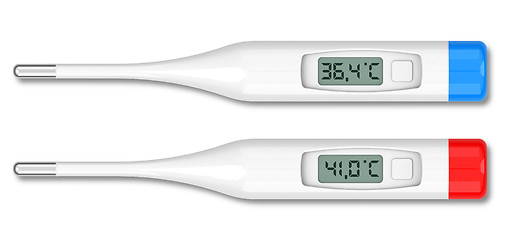 Image showing the thermometers