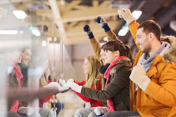 Image showing happy friends watching hockey game on skating rink