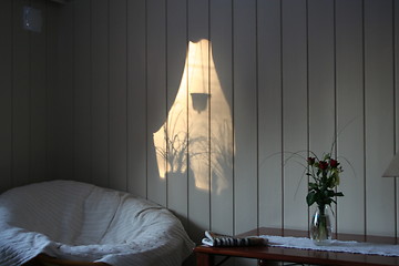 Image showing Shadow on the wall