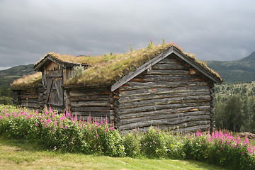 Image showing Cowshed