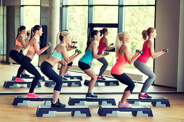 Image showing group of women with dumbbells and steppers