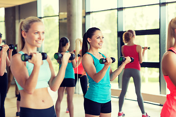 Image showing group of women with dumbbells in gym