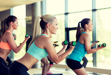 Image showing group of women with dumbbells and steppers