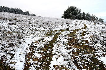 Image showing Field in winter