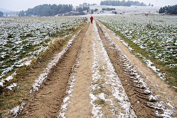 Image showing Road  in winter