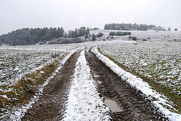 Image showing Field in winter