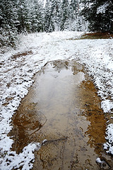 Image showing Forest road in winter