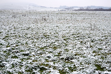 Image showing Field in winter