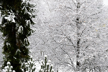 Image showing Winter in town