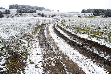 Image showing Field in winter