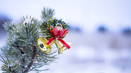 Image showing Christmas decoration on natural fir