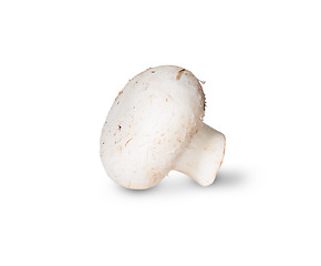 Image showing Single Mushroom Champignon On Its Side