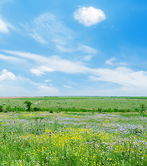 Image showing sunny day on green landscape with flowers and blue sky with clou