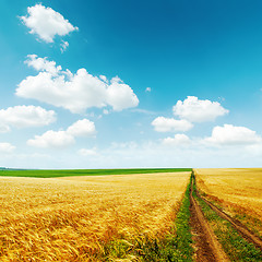 Image showing road in golden field with harvest under blue sky with clouds