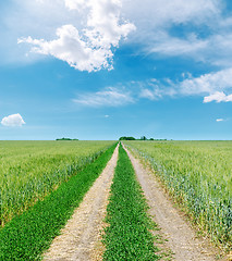 Image showing rural road to horizon in green fields and blue sky with clouds