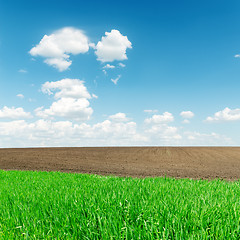 Image showing agriculture green and black fields and low clouds in horizon